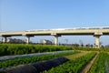 A metro track through a field