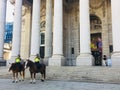 The Metropolitan Police Mounted Branch is a Met Operations branch of London`s Metropolitan Police who operate on horseback.