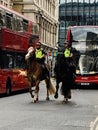 The Metropolitan Police Mounted Branch is a Met Operations branch of London`s Metropolitan Police who operate on horseback.