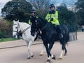 The Metropolitan Police Mounted on horseback in Victoria Park London England