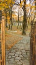 Metsovo city st george church in autum view , greece Royalty Free Stock Photo