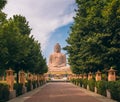 The Great Buddha Statue in Bodhgaya, India Royalty Free Stock Photo