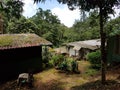 Mettal rood mose village rural trees leafes earth dirt research station hmong dou pui mong chiang mai north thailand