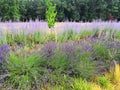 Scenery of Meung sur Loire, France Royalty Free Stock Photo