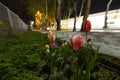 Mevlana Tomb and Konya Tulip Gardens./ Konya