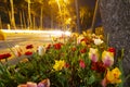 Mevlana Tomb and Konya Tulip Gardens./ Konya