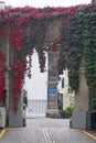 Mews archway in London with leaves reddening in autumn