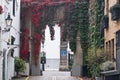 A mews archway in London with leaves reddening in the fall Royalty Free Stock Photo