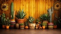 The Mexican backdrop with wood and lots of cactus pots Royalty Free Stock Photo