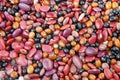 Mexican Beans Royalty Free Stock Photo