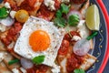 Mexican breakfast: chilaquiles with egg, avocado and vegetables close-up on a plate Royalty Free Stock Photo