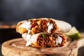 Mexican beef burrito Royalty Free Stock Photo