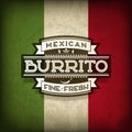 Mexican Burrito Royalty Free Stock Photo