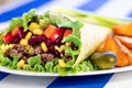 Mexican burrito with minced beef meat Royalty Free Stock Photo