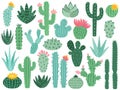 Mexican cactus and aloe. Desert spiny plant, mexico cacti flower and tropical home plants isolated vector collection Royalty Free Stock Photo