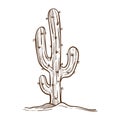 Mexican cactus plant monochrome sketch outline vector illustration