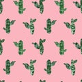 Mexican cactus seamless pattern isolated on pink background. Hand painted cacti set in collage paper cut style. botanical print