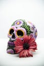 Mexican calavera, with floral decorations