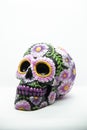 Mexican calavera, with floral decorations