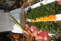 Mexican cemetery decorated with cempasÃÂºchil flowers in Day of the Dead