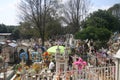 Mexican cemetery decorated with cempasÃÂºchil flowers in Day of the Dead