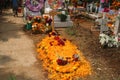 Mexican cemetery decorated with cempasÃÂºchil flowers in Day of the Dead