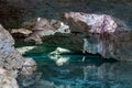 Cenote, a cavern with fresh water in a tropical jungle Royalty Free Stock Photo