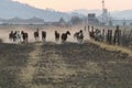 A Mexican Charro Cowboy Rounds Up A Herd of Horses Running Through The Field On A Mexican Ranch At Sunrise Royalty Free Stock Photo