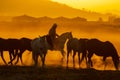 A Mexican Charro Cowboy Rounds Up A Herd of Horses Running Through The Field On A Mexican Ranch At Sunrise