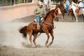 Mexican charros horseman on prancing horse, TX, US