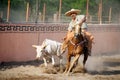 Mexican charros horseman wrestling bull, TX, US Royalty Free Stock Photo