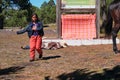 Mexican little girl with pilgrims on horseback