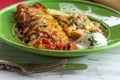 Mexican Chimichanga Enchilada