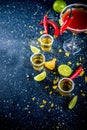 Mexican cocktail for Cinco de Mayo Royalty Free Stock Photo