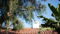 Mexican colonial style suburban, hispanic house exterior, green lush garden, San Diego, California USA. Mediterranean terracotta