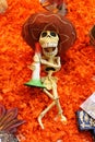 Mexican funny skulls skeleton, dias de los muertos day of the death dead