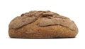 Mexican Concha Bread Royalty Free Stock Photo