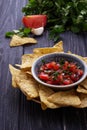Mexican corn chips nachos with salsa dip Royalty Free Stock Photo