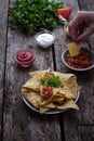 Mexican corn chips nachos with salsa dip Royalty Free Stock Photo