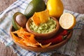 Mexican cuisine: nachos and guacamole sauce and ingredients Royalty Free Stock Photo