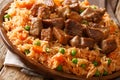 Mexican cuisine: spicy rice cooked with vegetables with tomato s Royalty Free Stock Photo