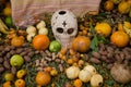 Mexican day of the dead offering altar