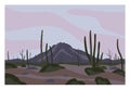 Mexican desert landscape concept. Mountain, rocks and cactuses sunset Royalty Free Stock Photo