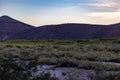 Mexican desert landscape with juniper trees and scrubland