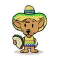 Mexican dog with taco Royalty Free Stock Photo