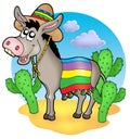 Mexican donkey in desert Royalty Free Stock Photo