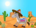 Mexican donkey wearing a sombrero and a colorful blanket.