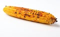 Mexican Elote Grilled Corn Captured on White Isolated on Transparent Background