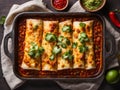 Mexican enchiladas with chicken, vegetables, corn, beans, tomato sauce and cheese Royalty Free Stock Photo