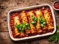 Mexican enchiladas with chicken, vegetables, corn, beans, tomato sauce and cheese Royalty Free Stock Photo